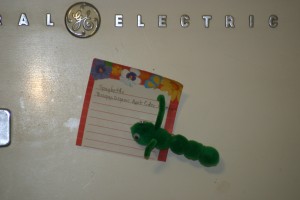 Green Caterpillar - as memo holder