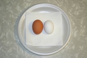 Martin Luther King, Jr. , brown egg and white egg