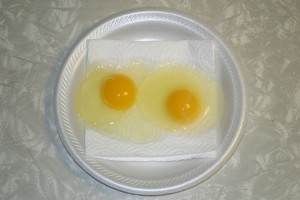 Martin Luther King, Jr. - egg activity