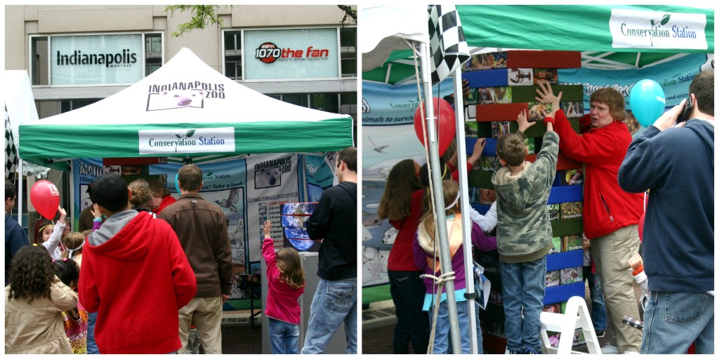 Zoo Conservation Station at the Chase 500 Festival Kids' Day