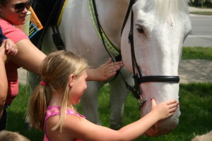 Madison & the horse