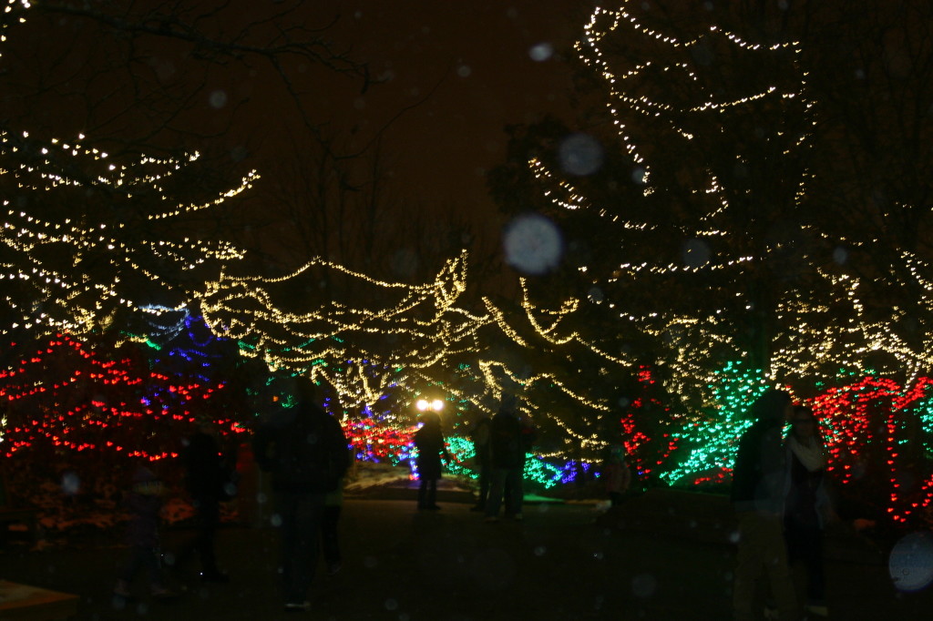 Christmas at the Indianapolis Zoo