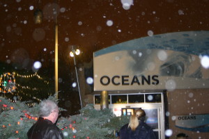 Christmas at the Indianapolis Zoo: The Oceans Building at the Indianapolis Zoo