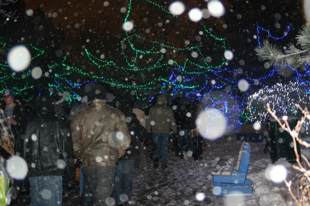 Christmas Lights At The Indianapolis Zoo Walden Wong